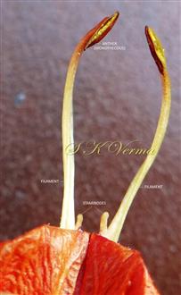  Stamens and 2 Staminodes